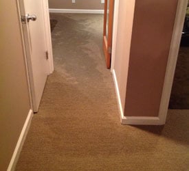 Everett Flood Cleanup