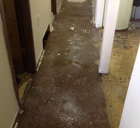 Water-Damage-Restoration-Everett-WA