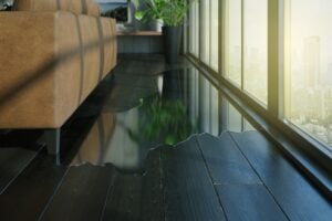 Bothell Flood Damage Contractors