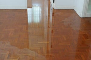 Bothell Water Damage Companies