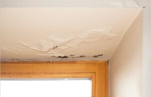 Bothell Water Damage Company