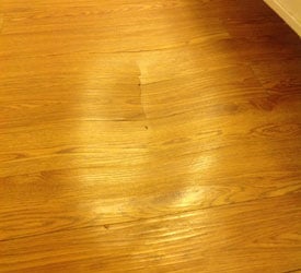 Bothell Water Damage