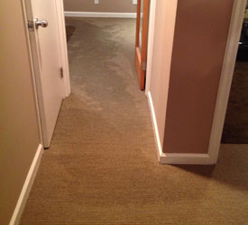 Burien Repair Water Damage