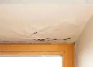 Maple Valley Water Damage Repair Services