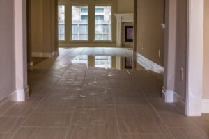 Olympia Water Damage Companies
