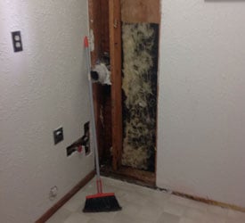 Puyallup Black Mold Removal