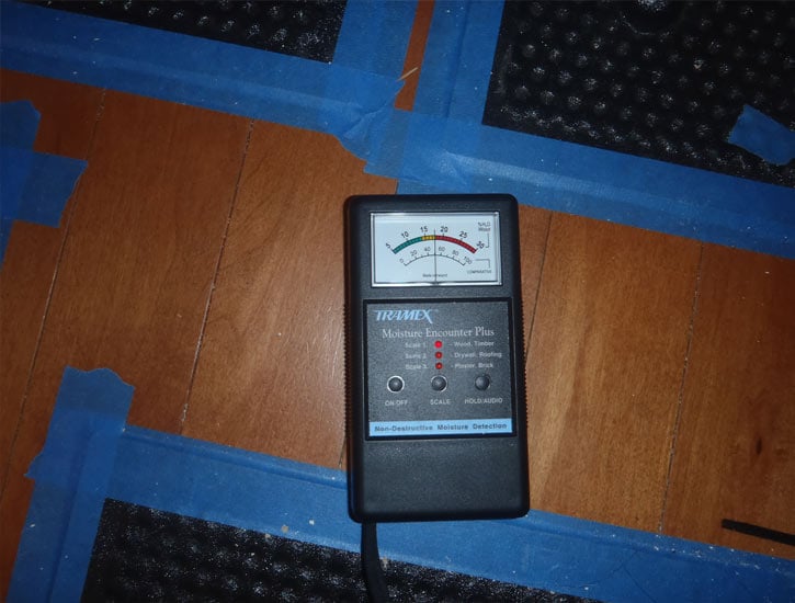 Des Moines Mold Detection