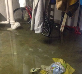 Flood Restoration Seattle